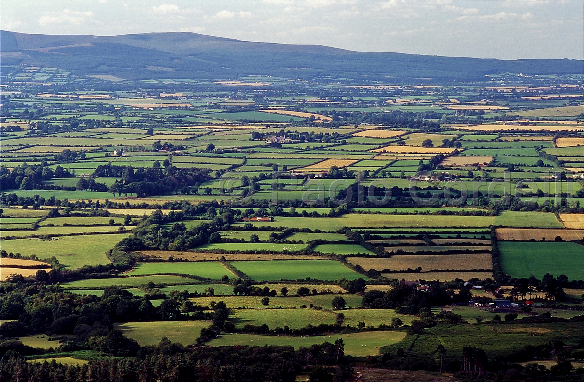 Stone-Walled Fields, Ireland
 (cod:Ireland 08)